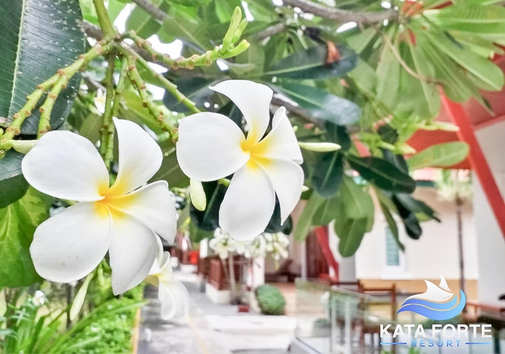 Kata Forte Resort Ngoại thất bức ảnh